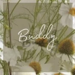 Buddy