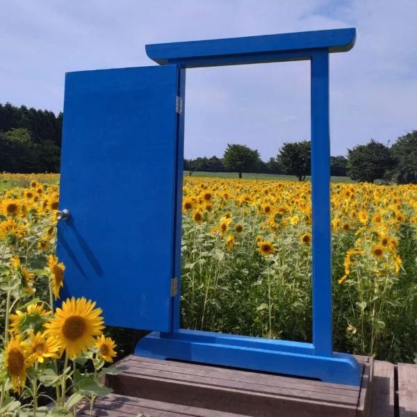 夏らしくなって来ましたね☀️