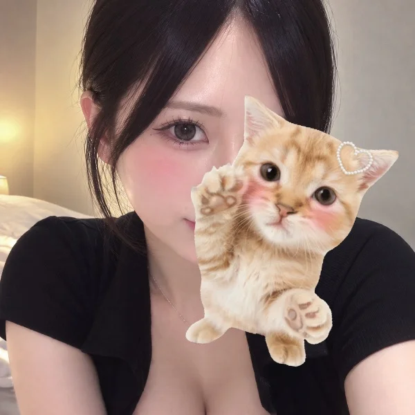 初めまして🎶🐈‍⬛🎀