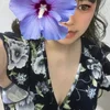 きくえ