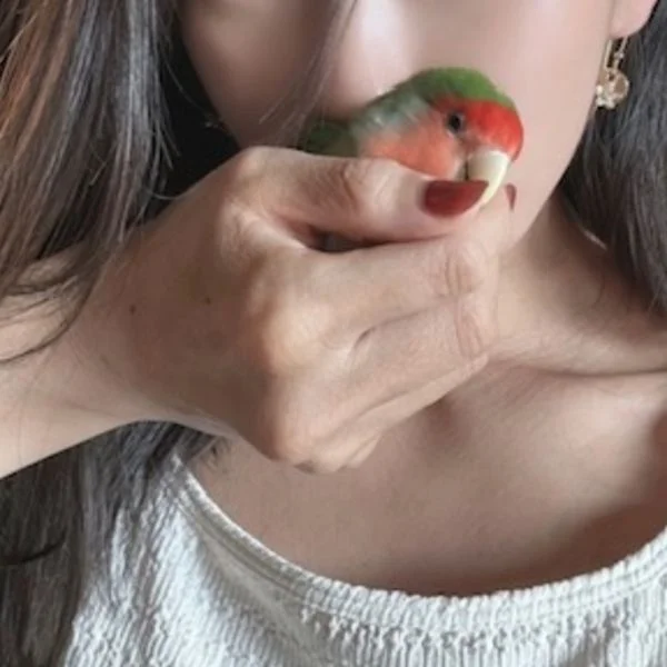 明日出勤します♡