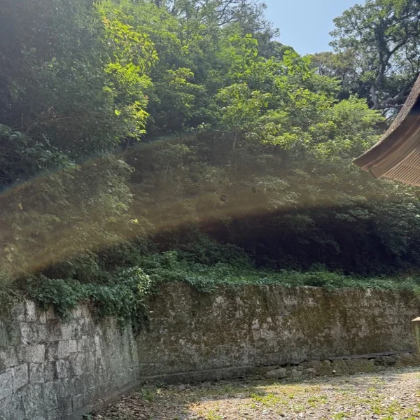 神社巡り中⛩✨🐉