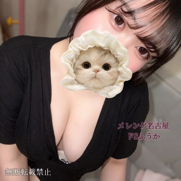8/21（金）19-24
