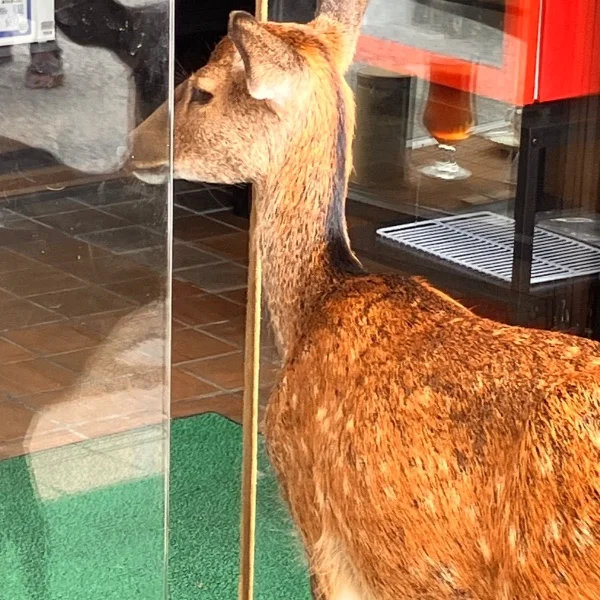 久しぶりの出勤💚🫧