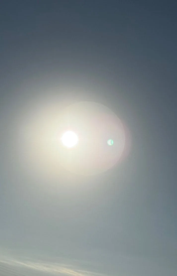 朝だあ〜☀️