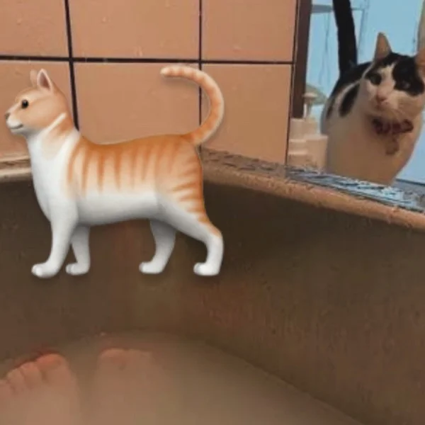 夜
