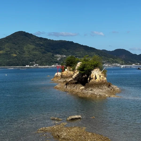 お休みだったので☘️