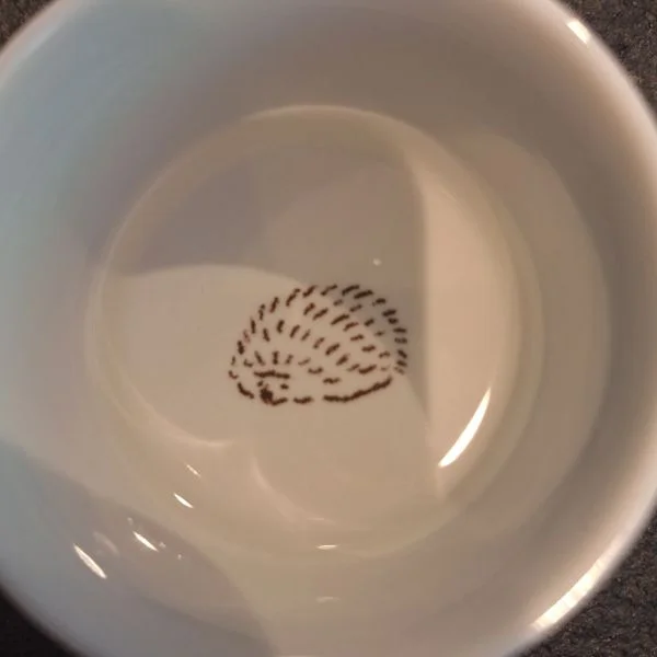 こんにちは☺