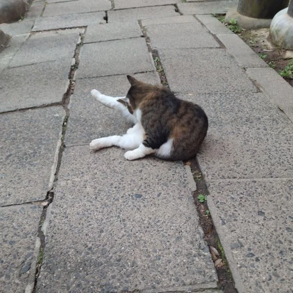 おはようございます☺
