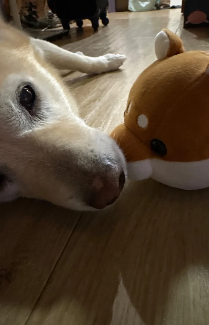明日お待ちしております💕