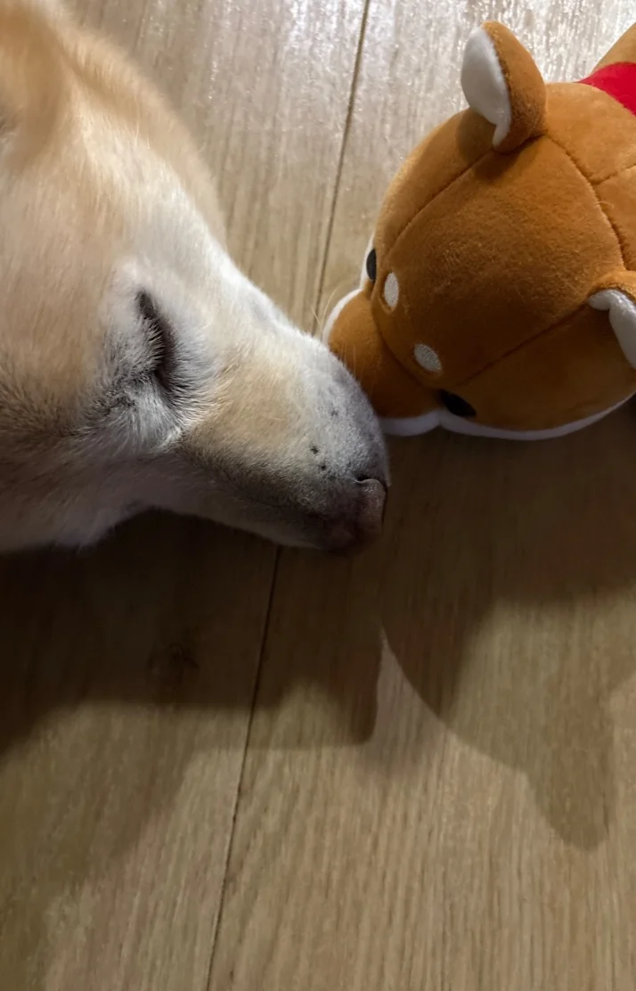 明日お待ちしております💕