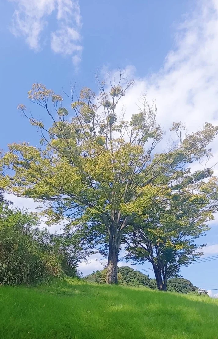 大好きな時間🎐