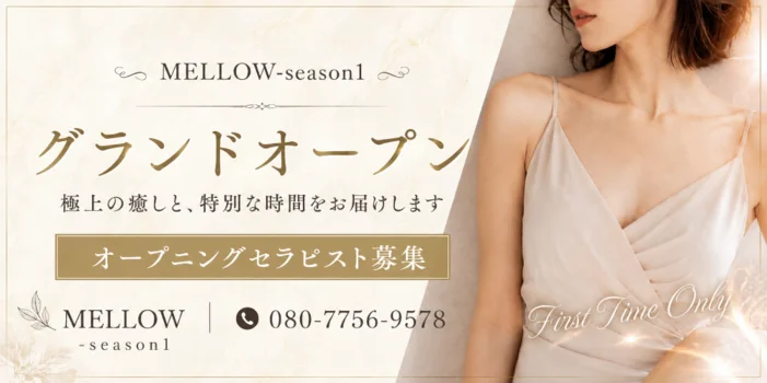 MELLOW -season1-(メロウシーズンワン)の求人募集イメージ2