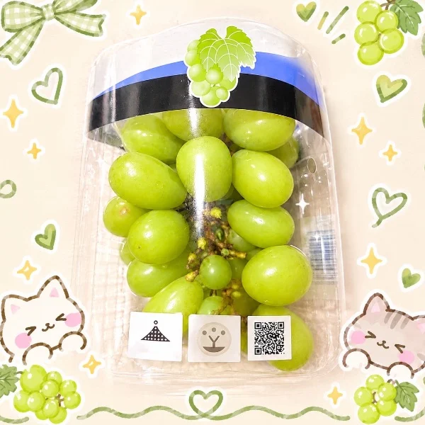 本日、19時より出勤します❣️
