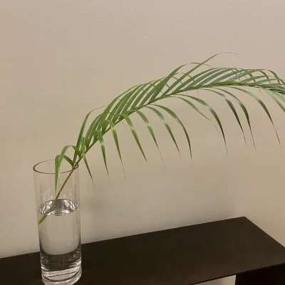 お店の特徴その1