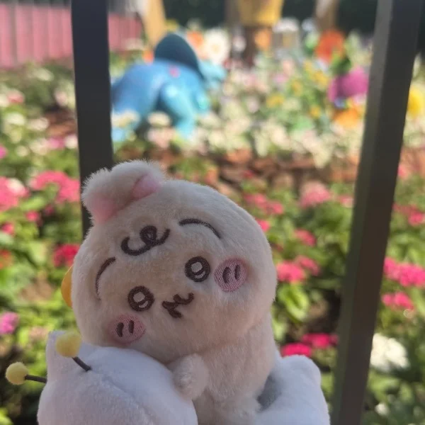 おはよん