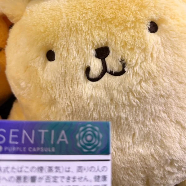 お礼🩵
