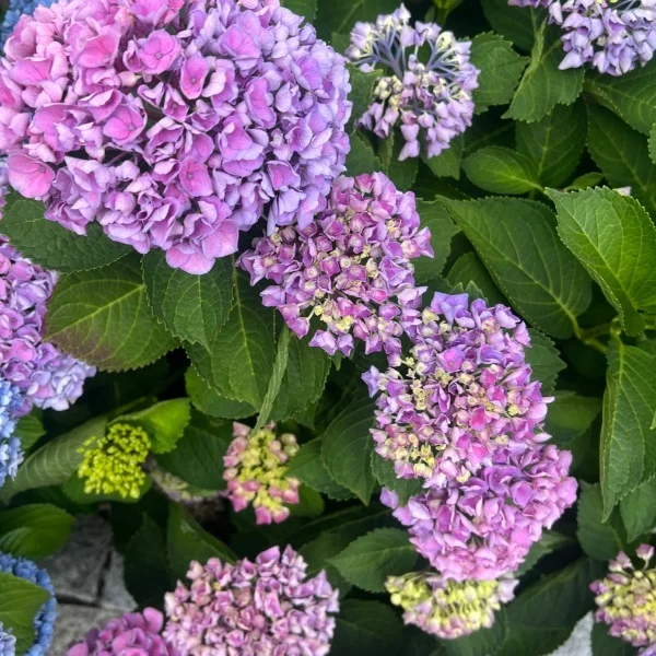 💐