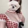 仁科 ひなみ