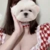 仁科 ひなみ