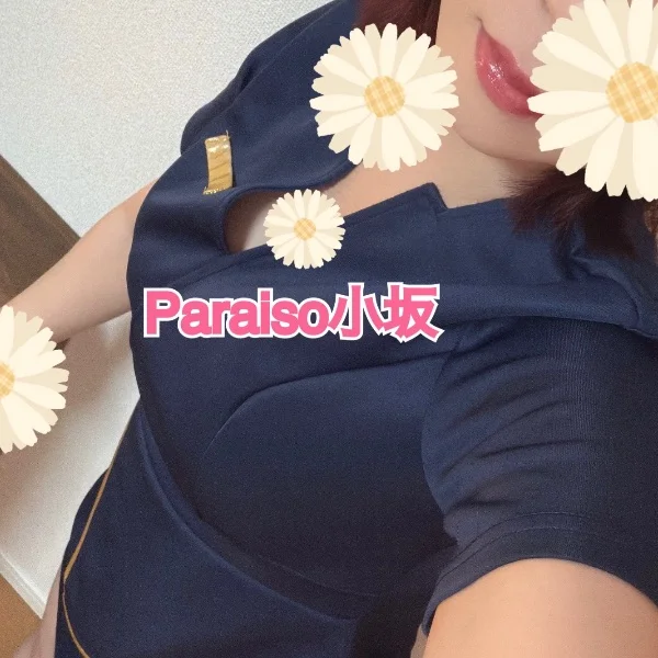 本日18:00まで🏰