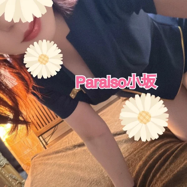 本日17:00まで🏰
