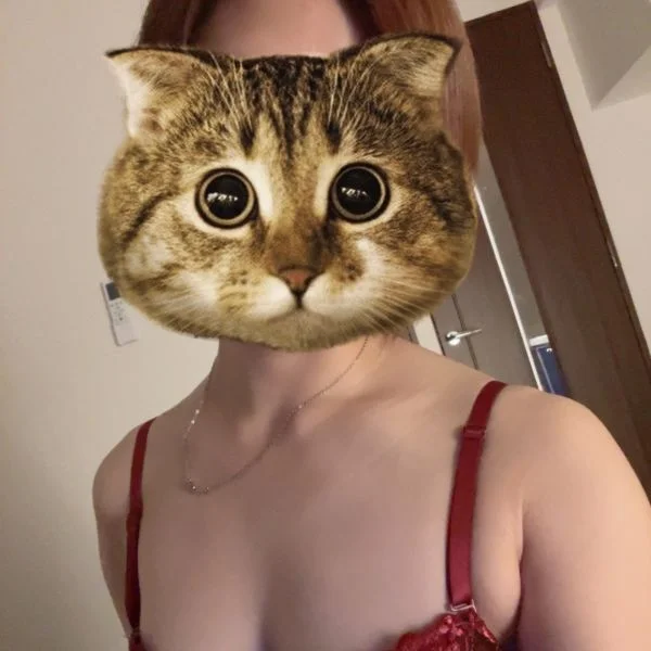 今夜新宿でーす