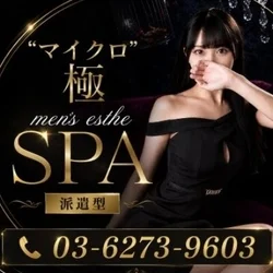 マイクロ極SPA　新橋
