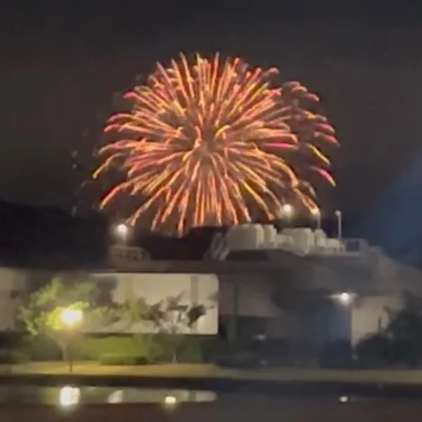 夏の風物詩🎆