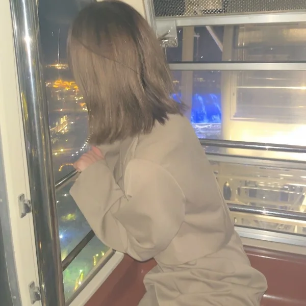 念願の観覧車