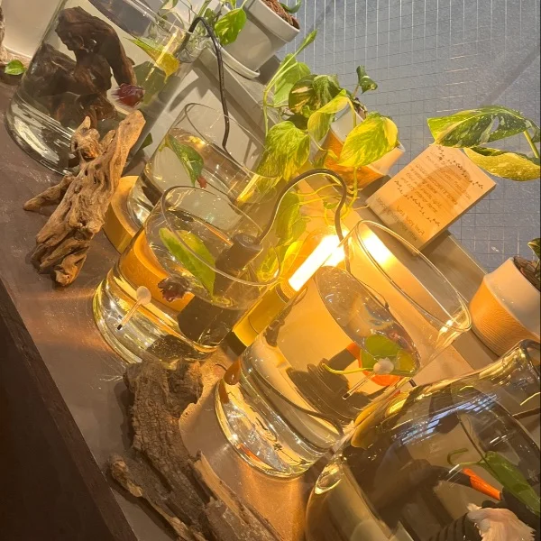 初💚エスコートコース👫💕