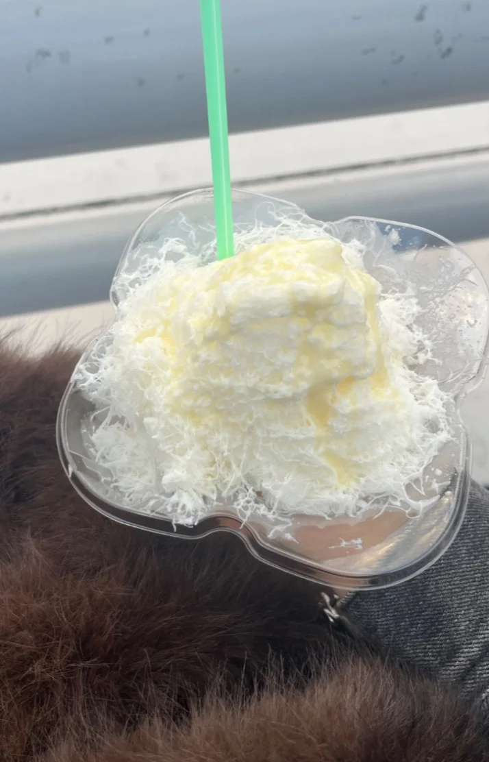 おくんち行ってきたばい🦑