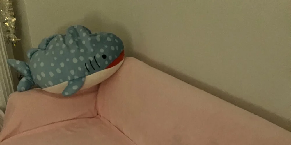もふもふの施術室写真