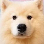 採用担当の面接担当者さん
