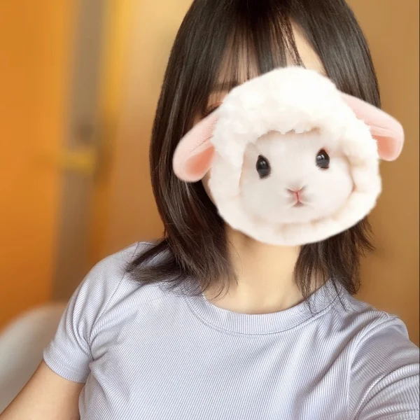 初投稿🫶