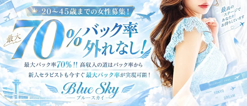 BlueSkyの求人募集イメージ