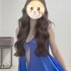 羽維